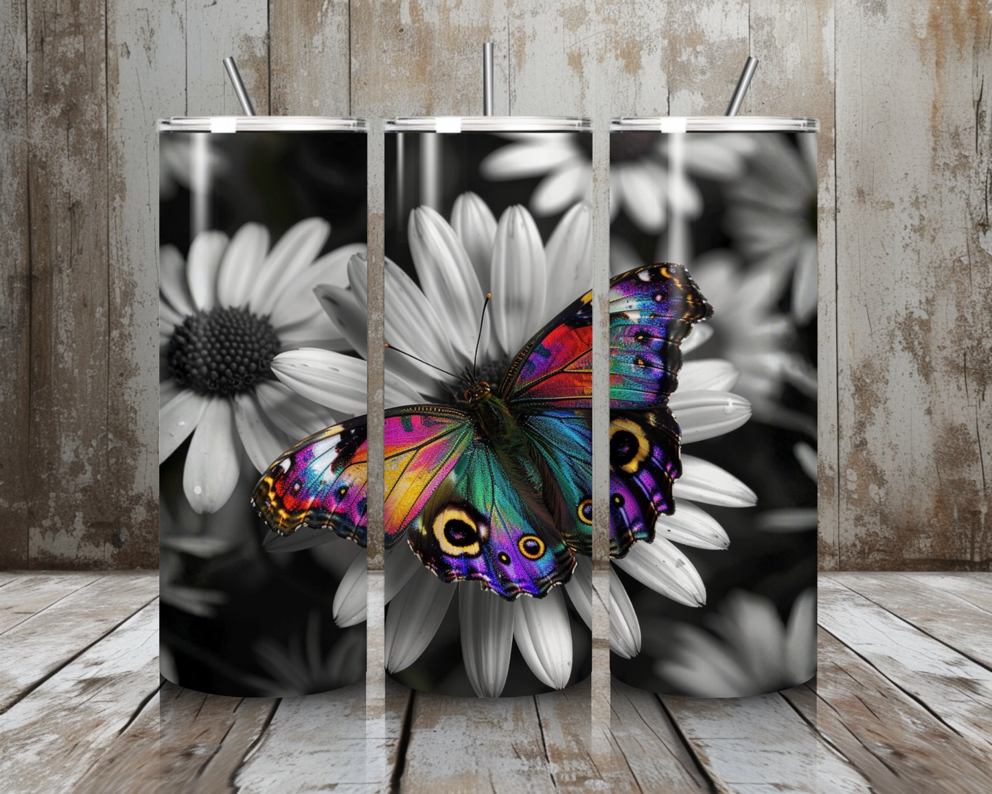 Tumbler Einsamer Schmetterling