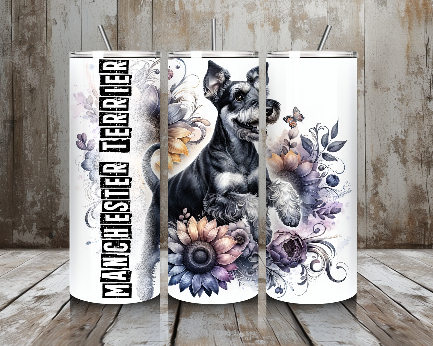 Tumbler Manchester Terrier
