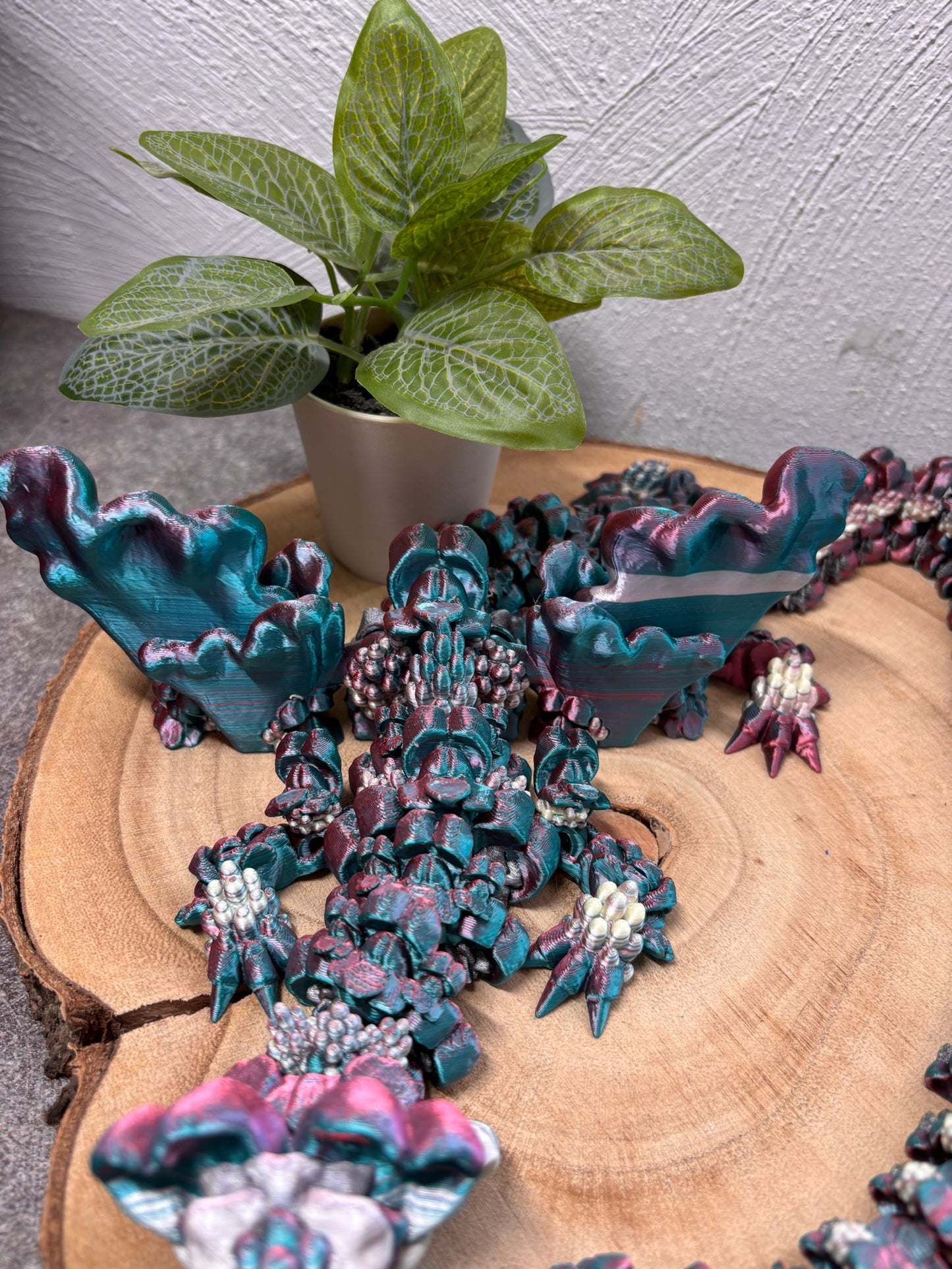 Snapdrachen 4 - farbig
