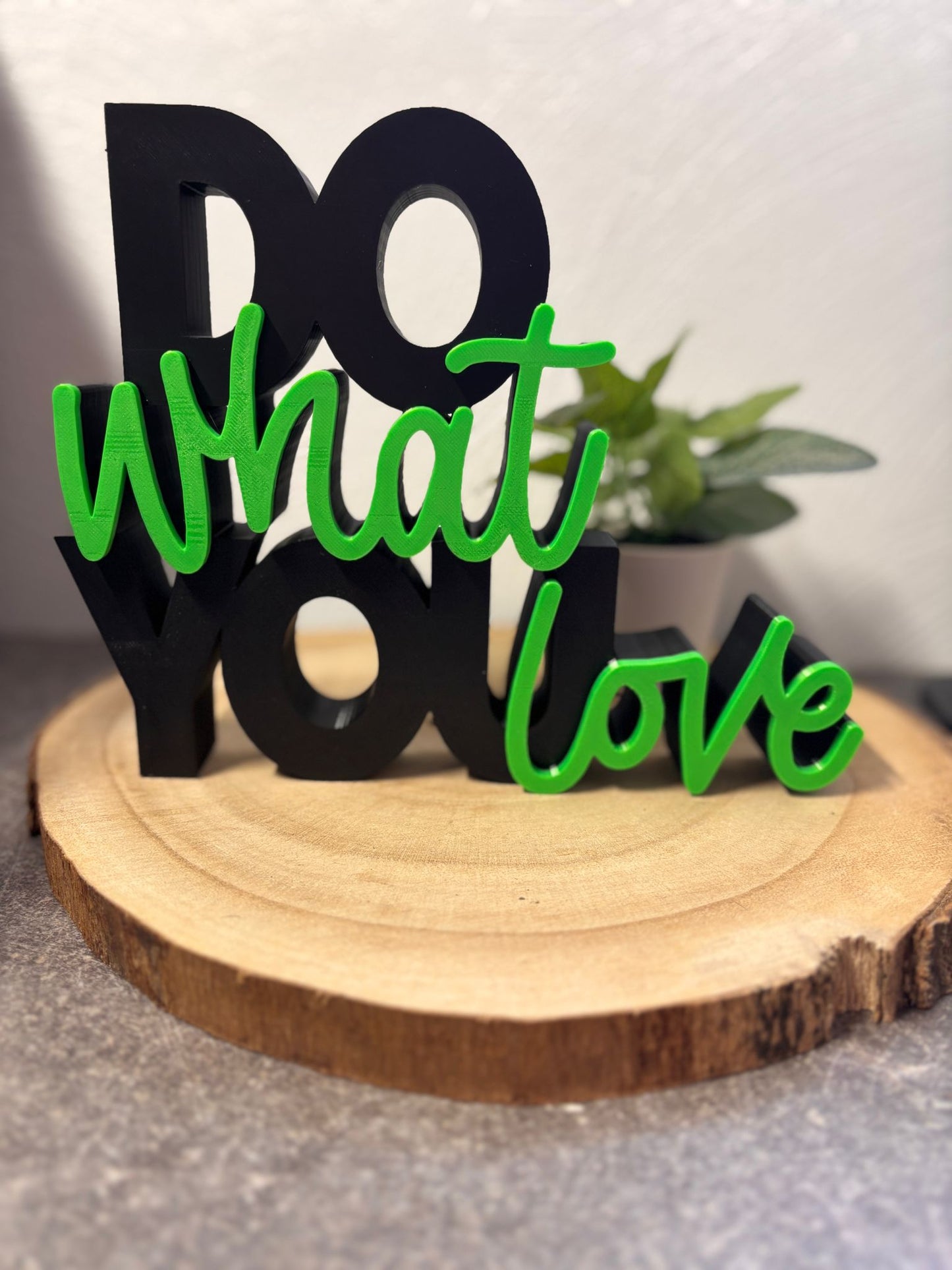 Schriftzug Do what you love