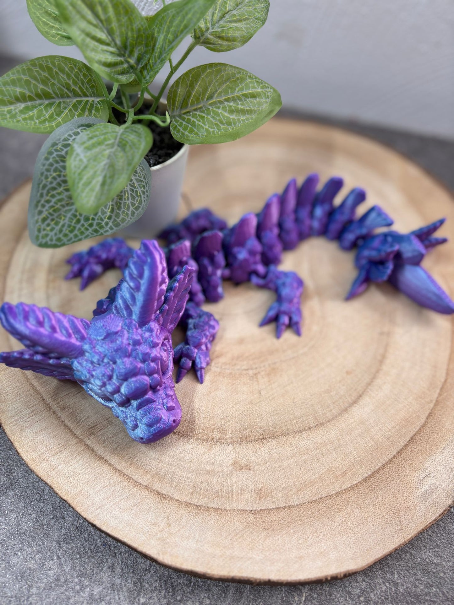 Axolotldrachen