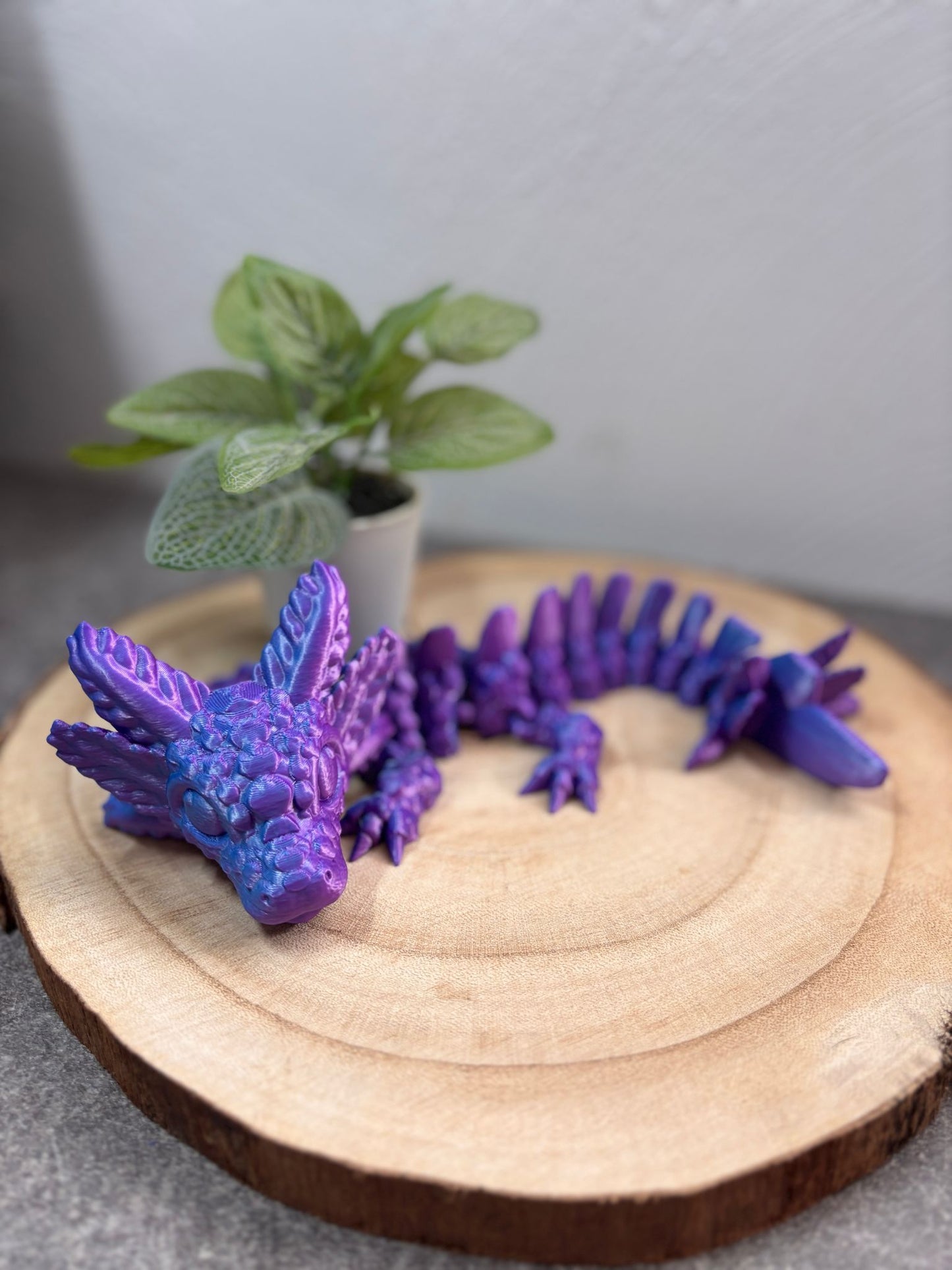 Axolotldrachen