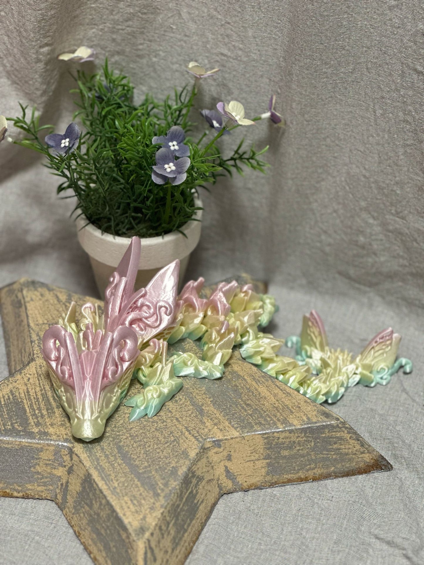 Schmetterlingsdrachen mit festen Flügel