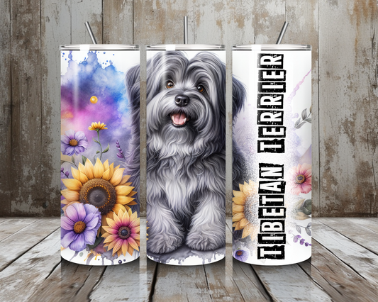 Tumbler Tibetan Terrier