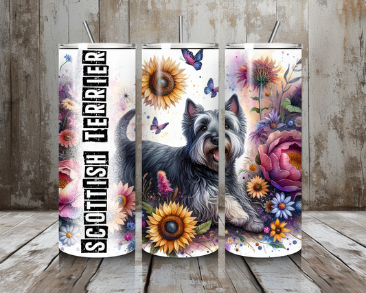 Tumbler Scottish Terrier