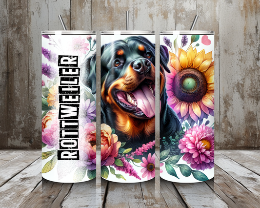 Tumbler Rottweiler