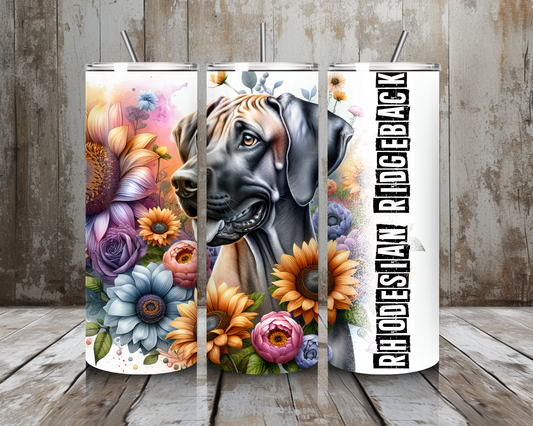 Tumbler Rhodesian Ridgeback