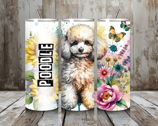 Tumbler Poodle