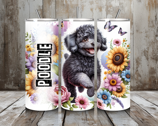 Tumbler Poodle
