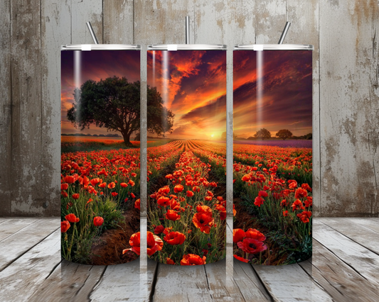 Tumbler Mohnblumen - Feld