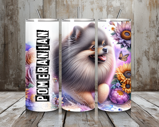 Tumbler Pomeranian