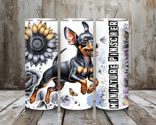 Tumbler Miniature Pinscher