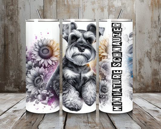 Tumbler Miniature Schnauzer