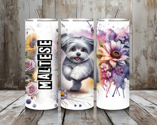 Tumbler Maltese