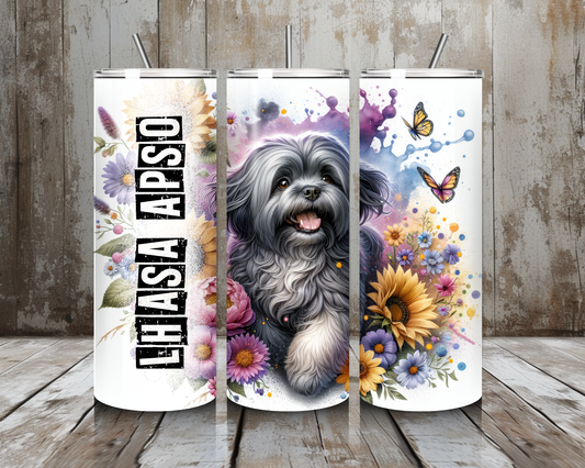 Tumbler Lhasa Apso