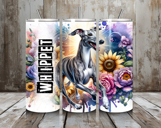 Tumbler Whippet