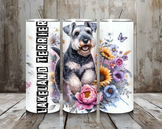 Tumbler Lakeland Terrier