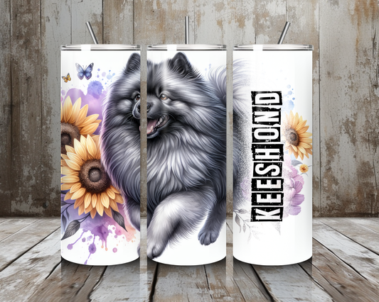 Tumbler Keeshond