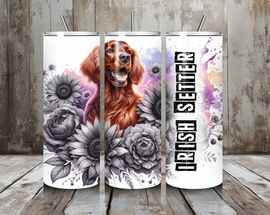 Tumbler Irish Setter