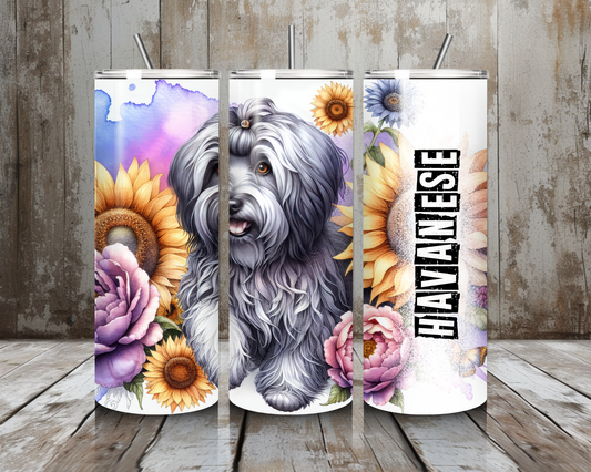 Tumbler Havanese