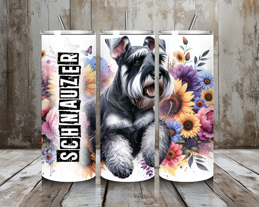 Tumbler Schnauzer