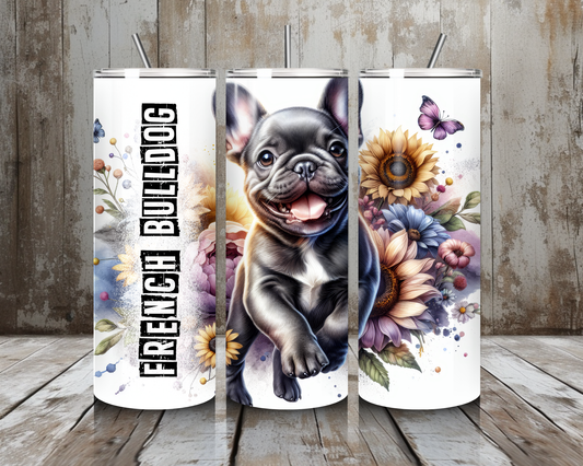 Tumbler French Bulldog
