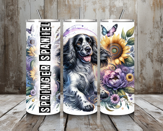 Tumbler Springer Spaniel