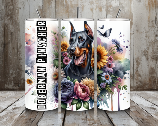 Tumbler Doberman