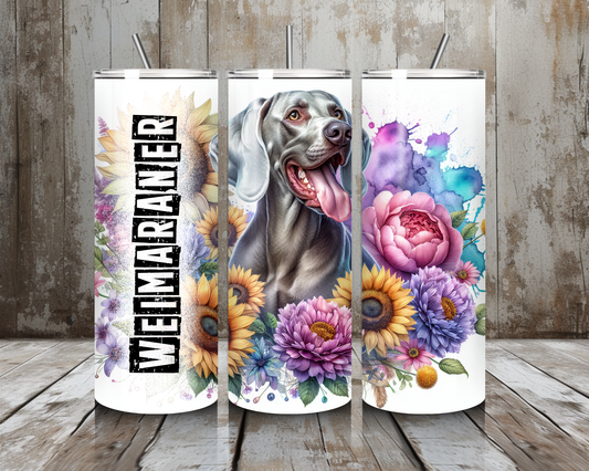 Tumbler Weimaraner
