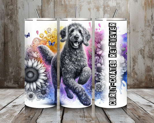 Tumbler Curly - Coated Retriever