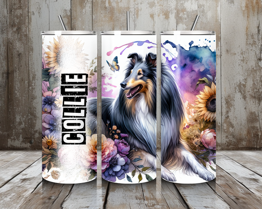 Tumbler Collie