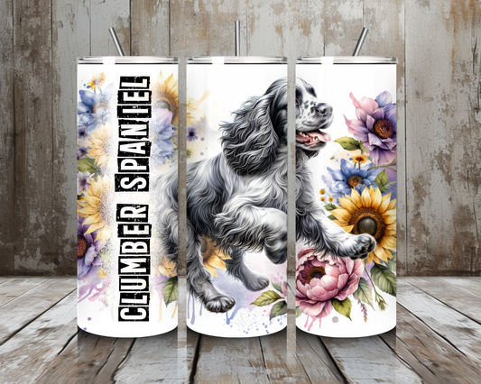 Tumbler Clumber Spaniel