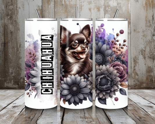 Tumbler Chihuahua