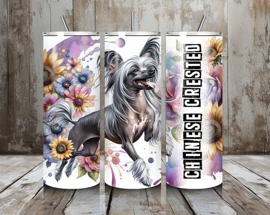 Tumbler Chinese Crested