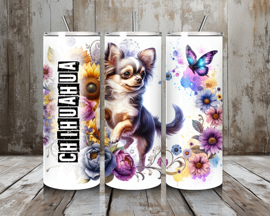 Tumbler Chihuahua 2
