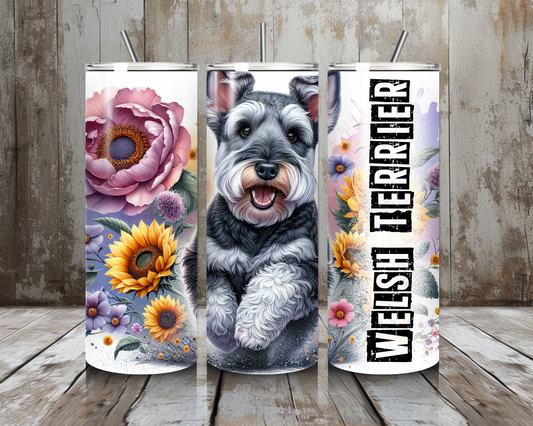 Tumbler Welsh Terrier
