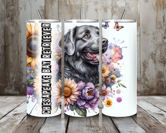 Tumbler Chesapeake Retriever