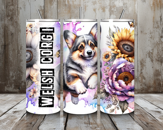 Tumbler Welsh Corgi