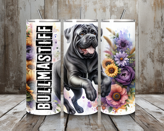 Tumbler Bullmastiff