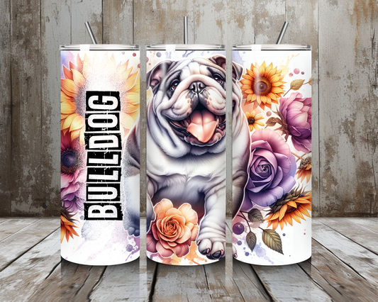 Tumbler Bulldog