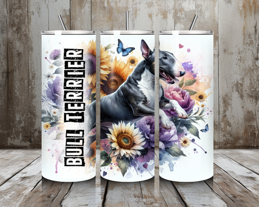 Tumbler Bullterrier