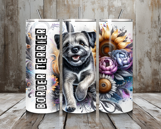 Tumbler Border Terrier