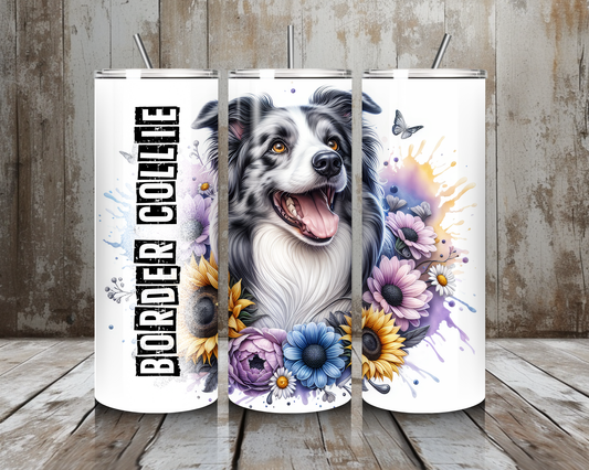 Tumbler Border Collie