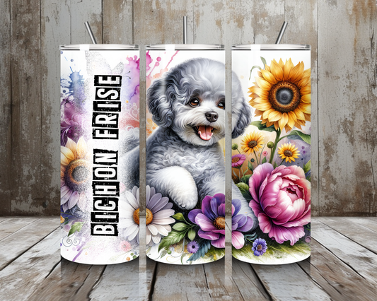 Tumbler Bichon Frise