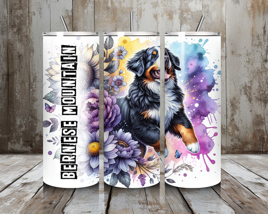Tumbler Bernese Mountain