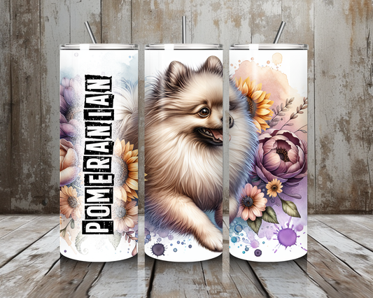 Tumbler Pomeranian