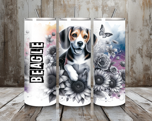 Tumbler Beagle