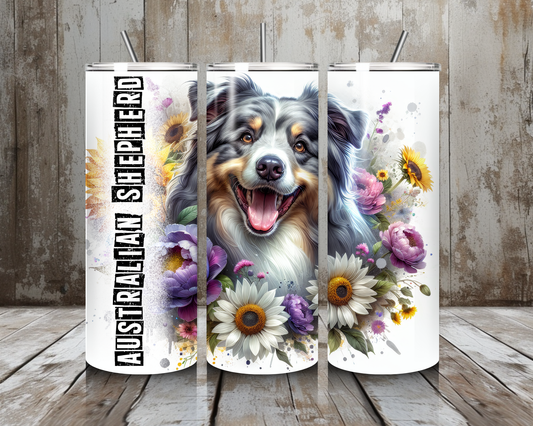 Tumbler Australien Shephard