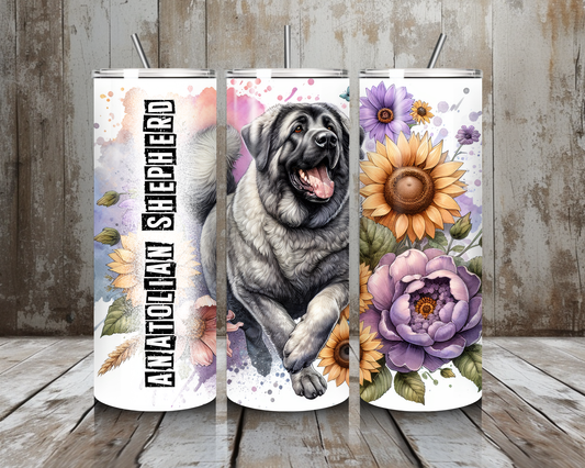Tumbler Anatolian Shepherd