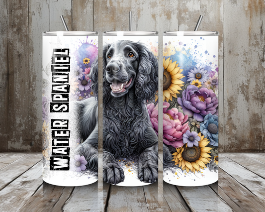 Tumbler Water Spaniel